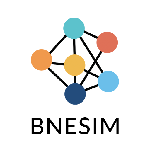 Логотип BNESIM
